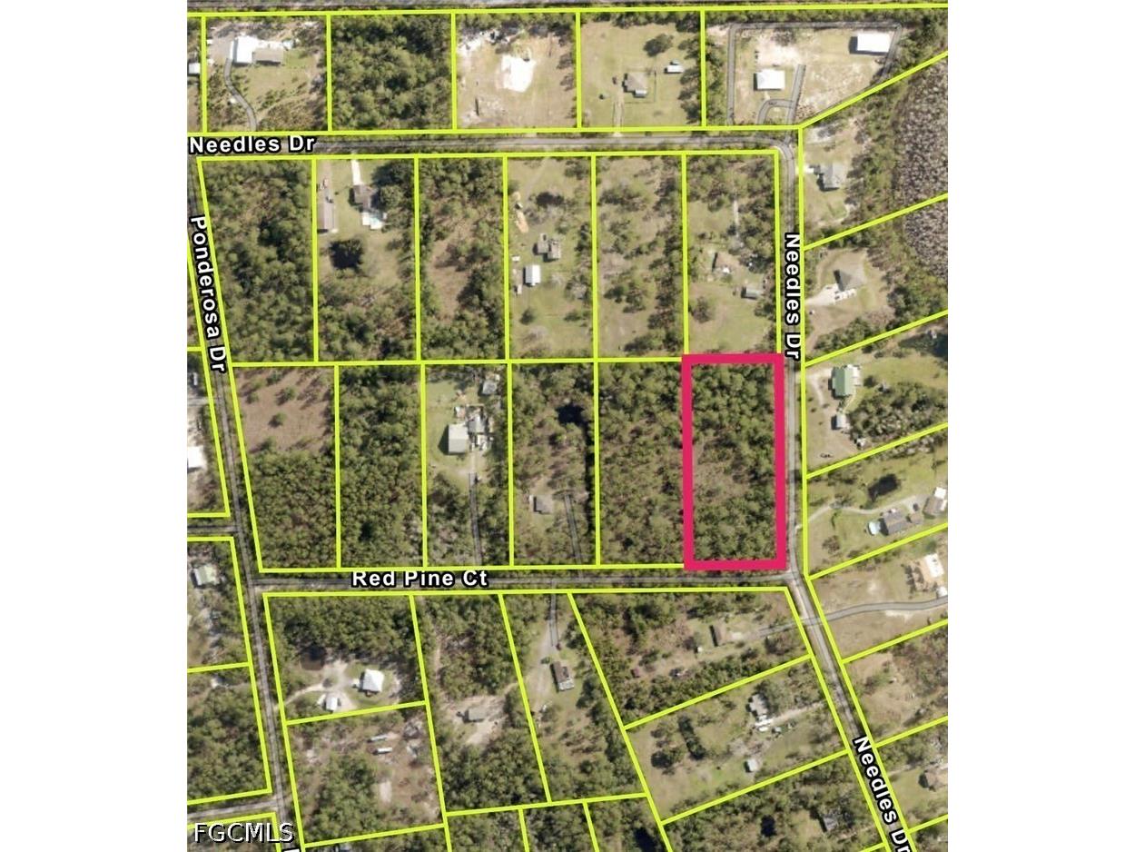 456 Red Pine Court Ormond Beach FL 32174 2026019963 image3