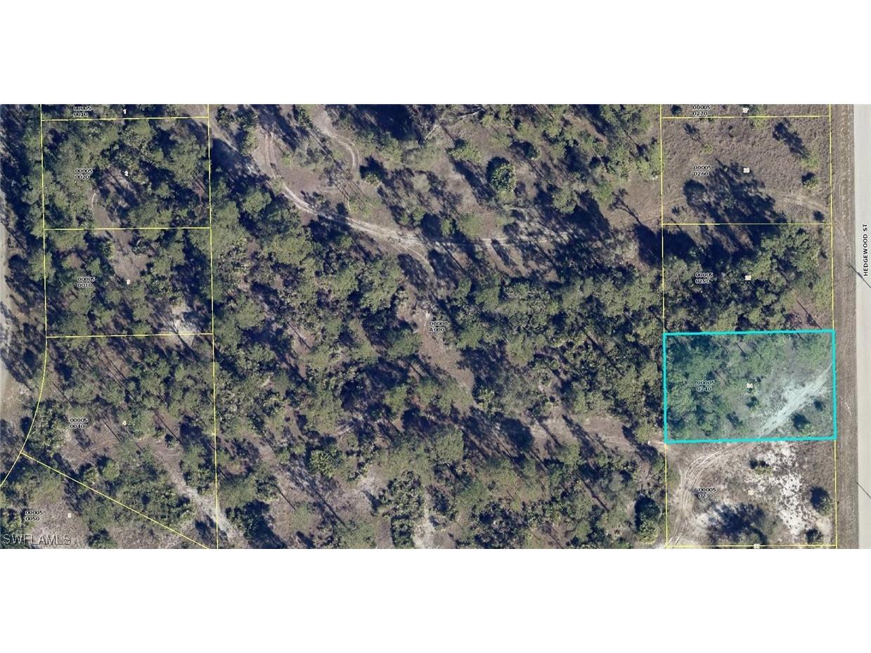 458 Hedgewood Street Lehigh Acres FL 33974 223042812 image1