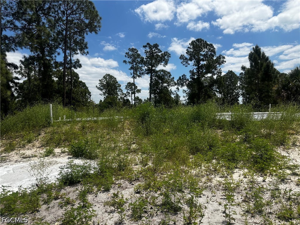 459 Zimmerman Avenue Lehigh Acres FL 33974 2026015004 image1