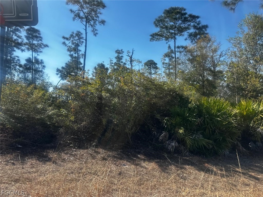 460 Lackey Avenue S Lehigh Acres FL 33974 2026006398 image6
