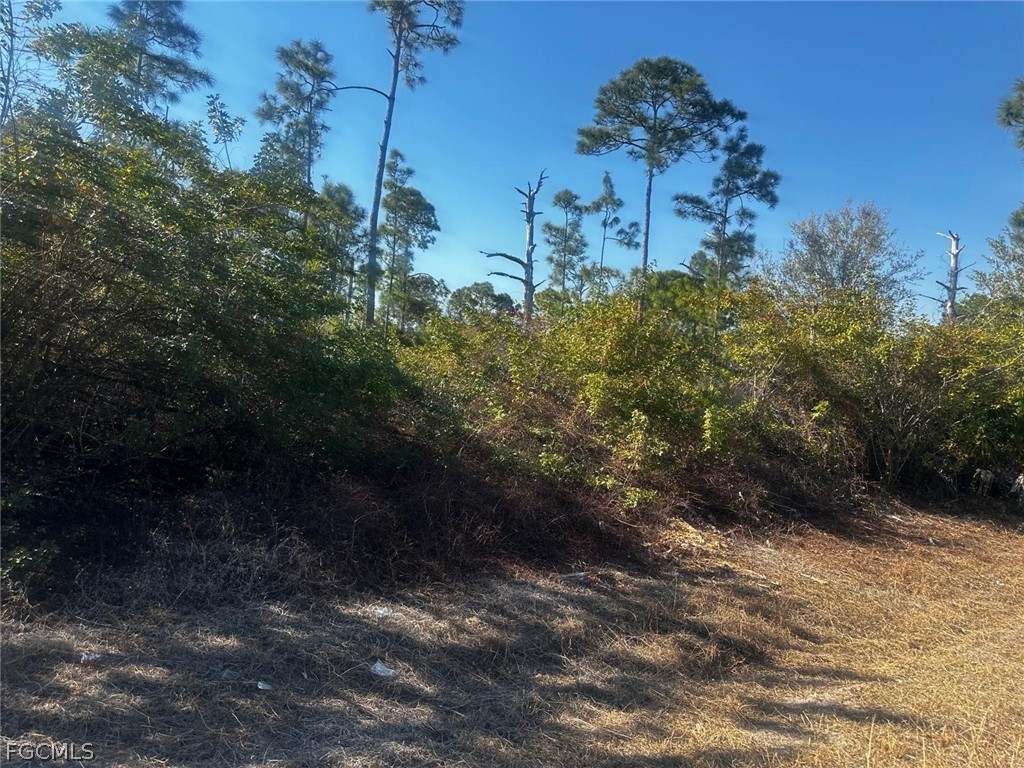 460 Lackey Avenue S Lehigh Acres FL 33974 2026006398 image7