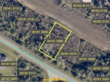 460 Westchester Drive Lehigh Acres FL 33972 224002422 image1