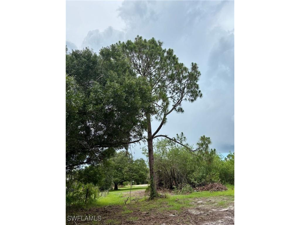 4600 Pioneer 17th Street Clewiston FL 33440 225059490 image10