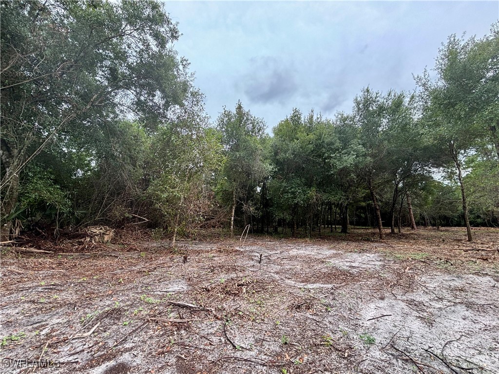 4600 Pioneer 17th Street Clewiston FL 33440 225059490 image7