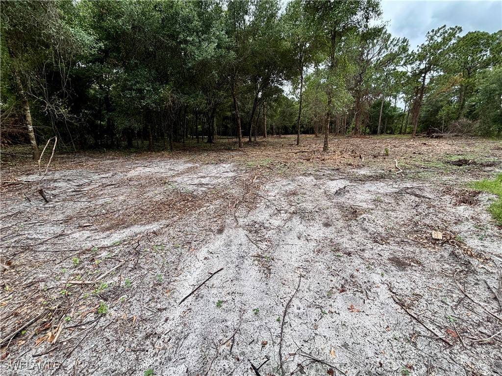 4600 Pioneer 17th Street Clewiston FL 33440 225059490 image8