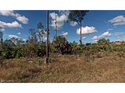4602 Flora Avenue N Lehigh Acres FL 33971 222072708 image1
