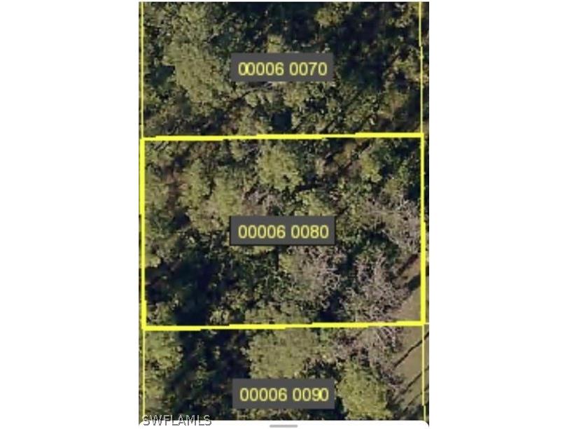 4603 Sally Avenue N Lehigh Acres FL 33971 222078640 image2