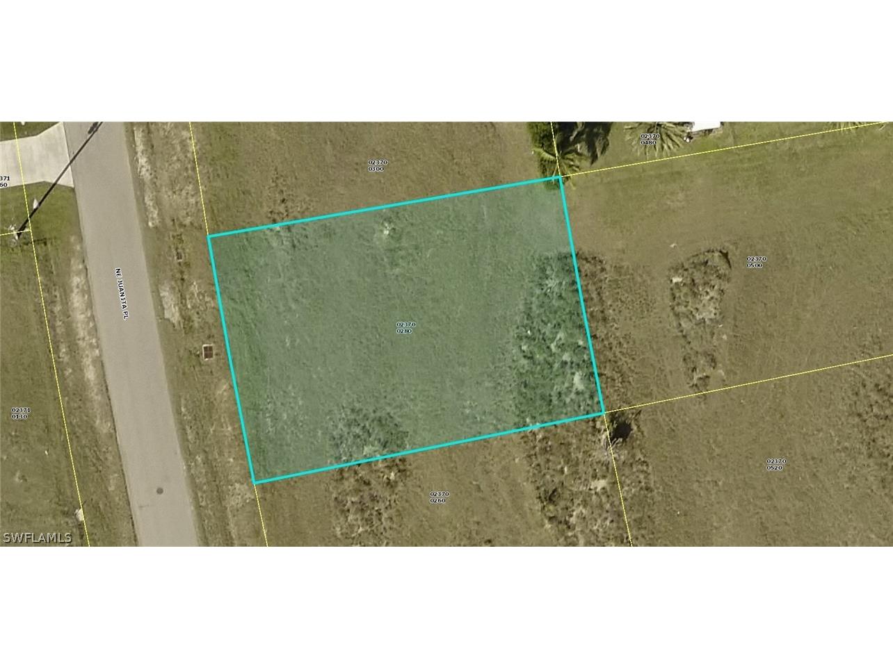 461 NE Juanita Place Cape Coral FL 33909 222012699 image1