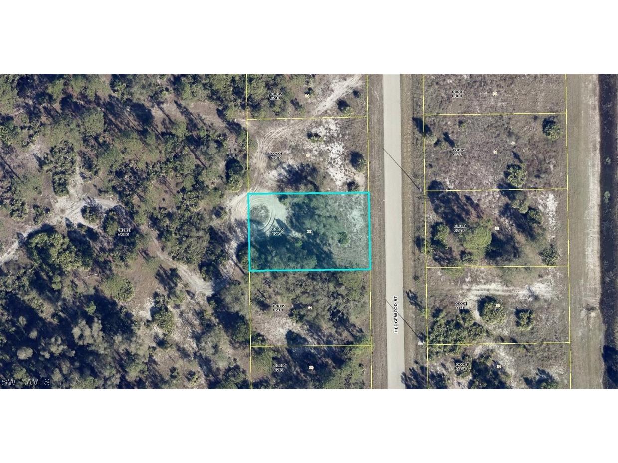 462 Hedgewood Street Lehigh Acres FL 33974 223042831 image1