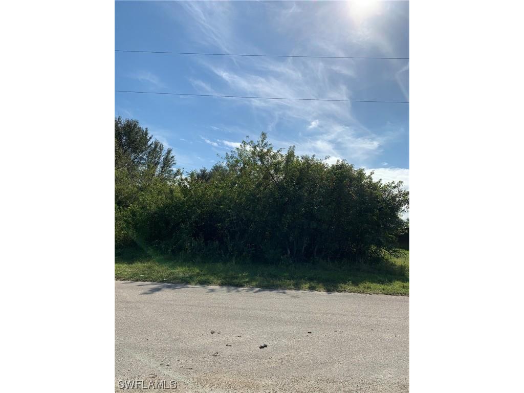 462 Piedmont Street Lehigh Acres FL 33974 224000577 image1