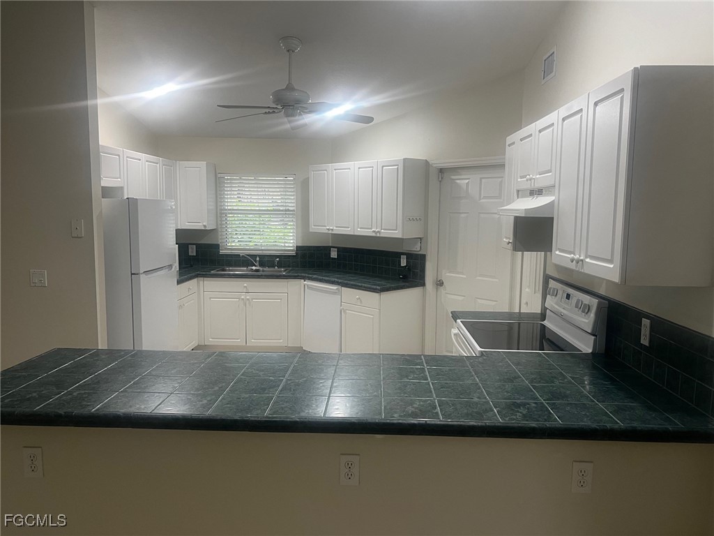 4620 SW 7th Place Cape Coral FL 33914 2025002344 image3