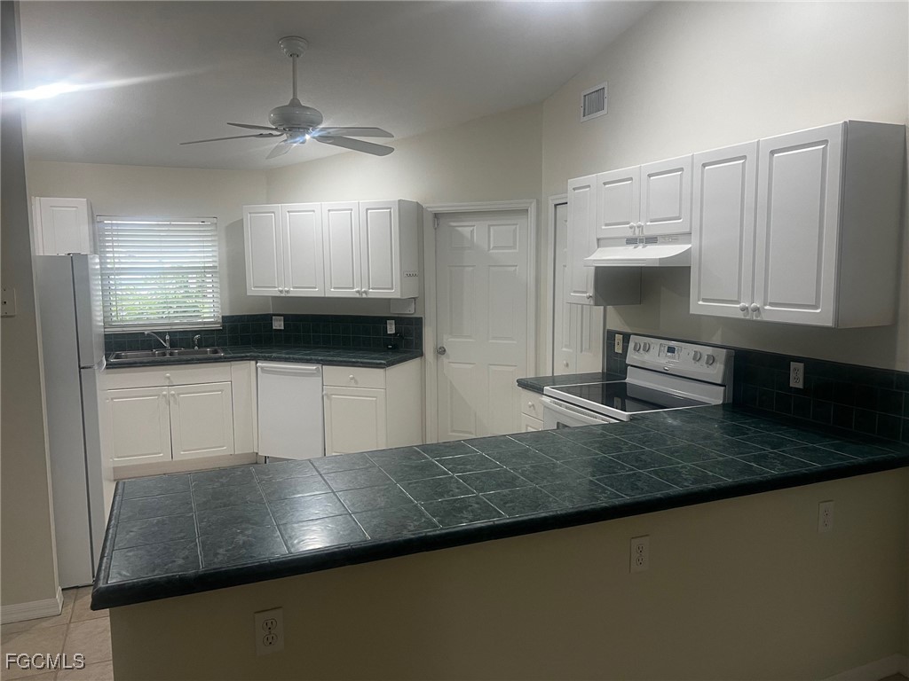 4620 SW 7th Place Cape Coral FL 33914 2025002344 image4