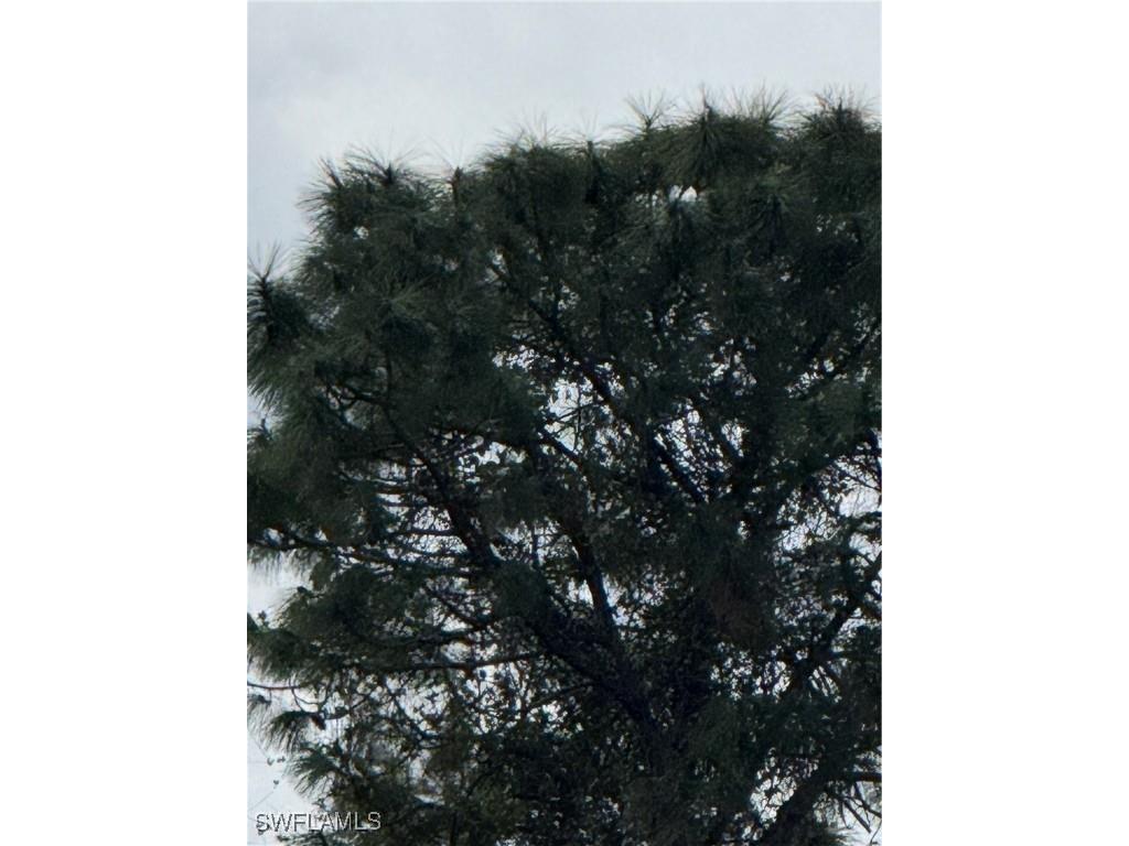 4621 6th Street W Lehigh Acres FL 33971 225031715 image1