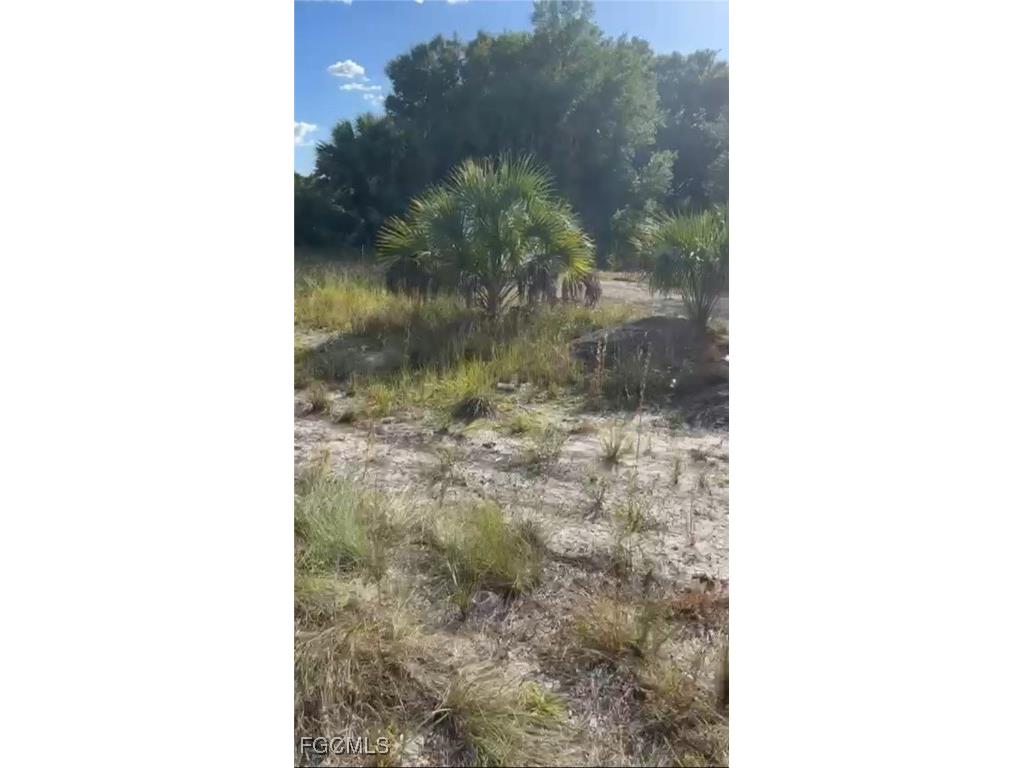 4628 Laura Avenue N Lehigh Acres FL 33971 2025016774 image3