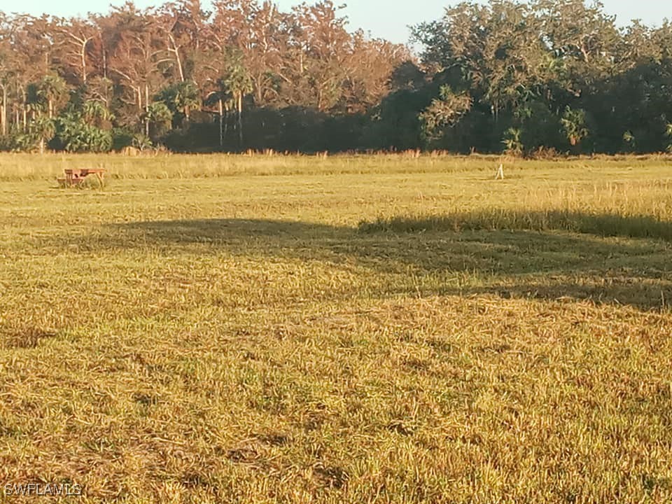 46310 Neal Road Punta Gorda FL 33982 225077446 image10