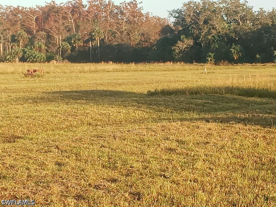 46310 Neal Road Punta Gorda FL 33982 226010616 image18