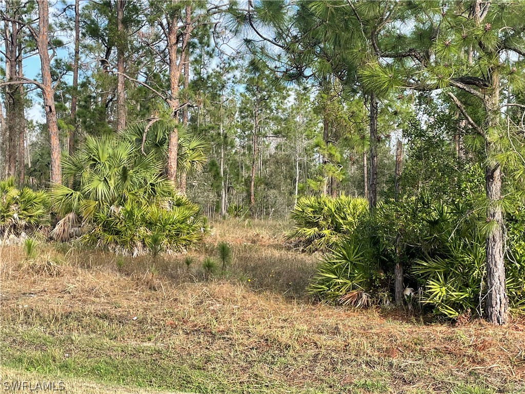 4635 43rd Avenue NE Naples FL 34120 223009750 image1