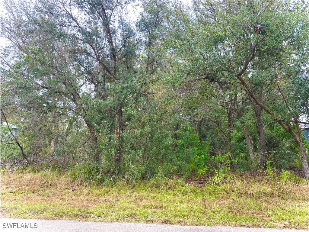 4649/4651 24th Street SW Lehigh Acres FL 33973 225008522 image1