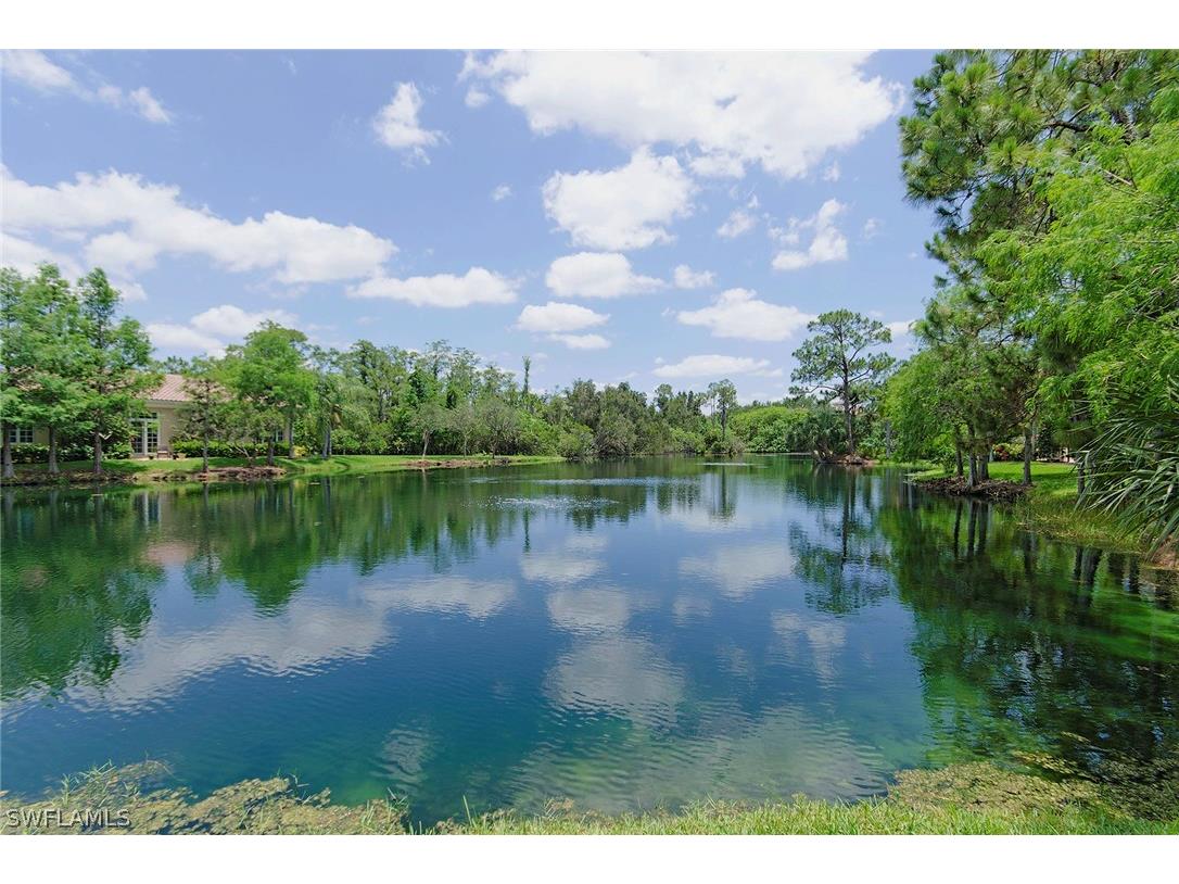 4651 Via Ravenna Estero FL 34134 226012056 image12