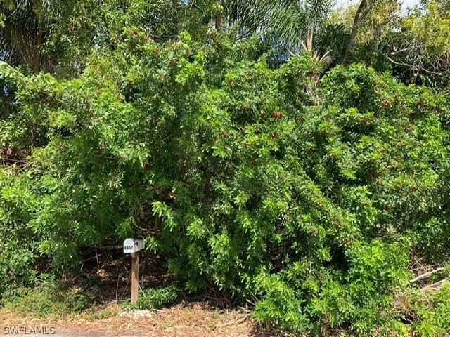 4658 Del Rio Lane Bonita Springs FL 34134 223003806 image1