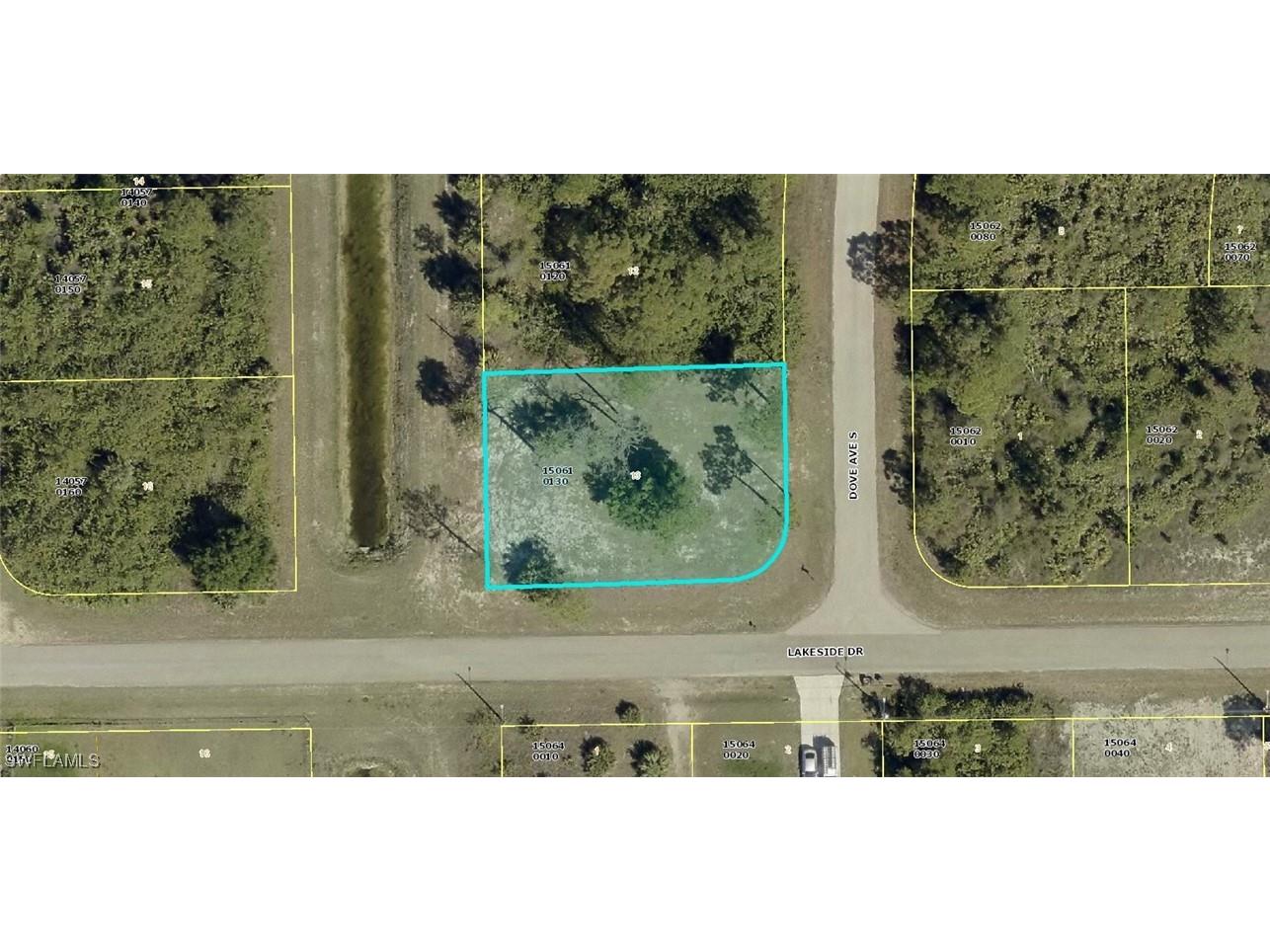 466 Dove Avenue Lehigh Acres FL 33974 225057528 image1