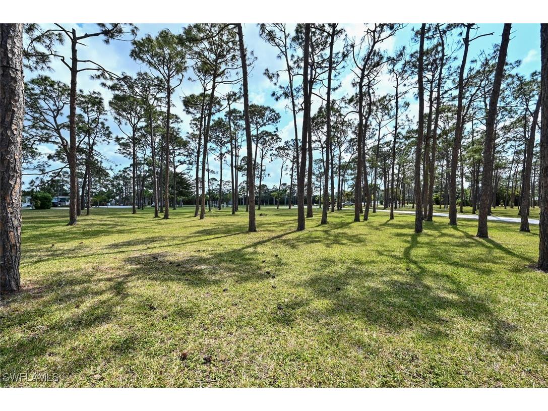 4670 Lafayette Lane W Estero FL 33928 226001989 image34
