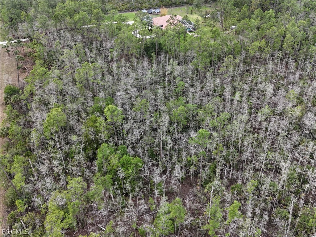 4671 2nd Avenue SE Naples FL 34117 2026013499 image10