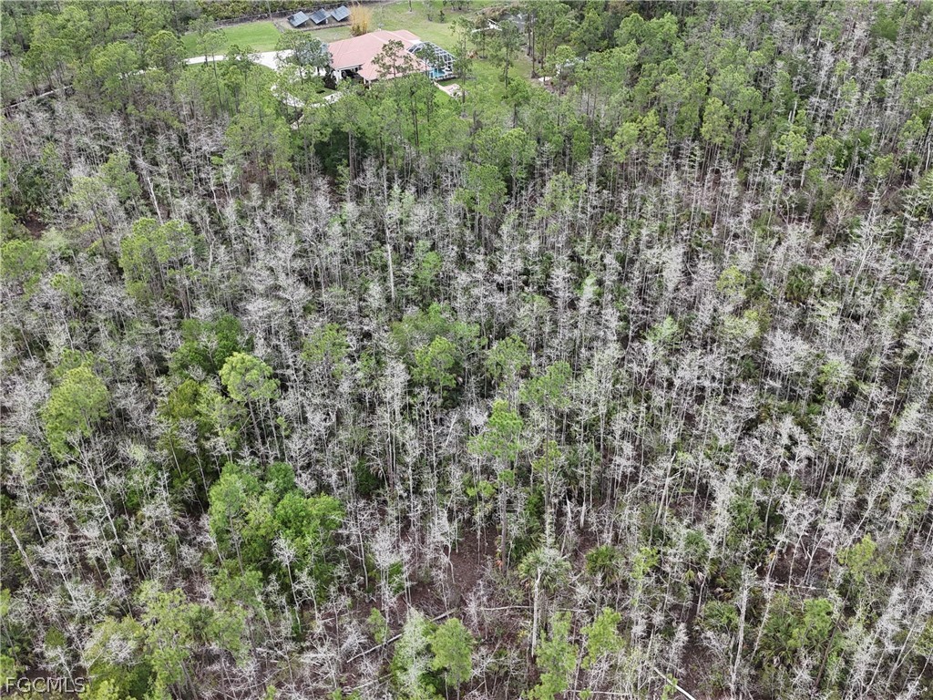 4671 2nd Avenue SE Naples FL 34117 2026013499 image8