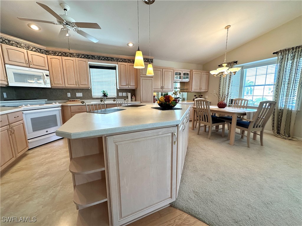 4691 Liberty Lane W Estero FL 33928 225012460 image7