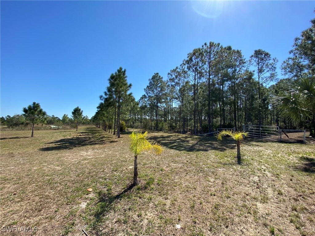 46920 Bermont Road Punta Gorda FL 33982 225023811 image1