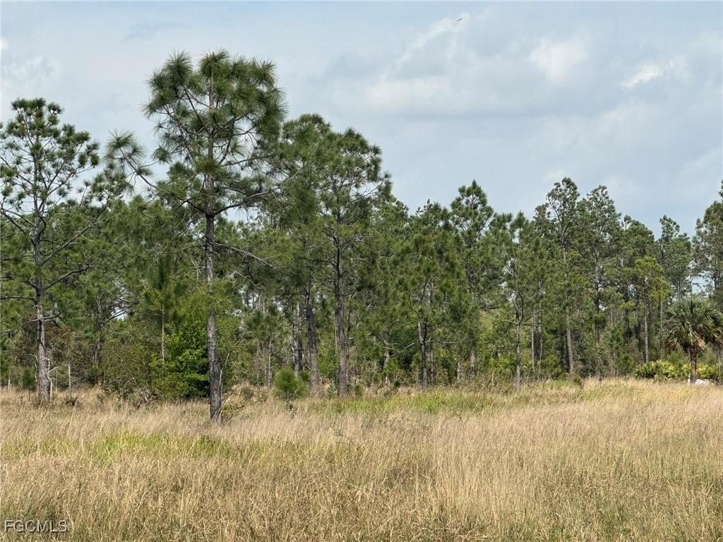 46930 Bermont Road Punta Gorda FL 33982 2025020958 image6