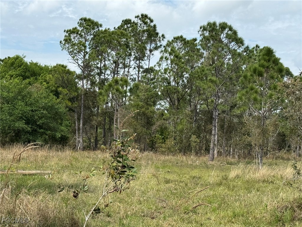 46930 Bermont Road Punta Gorda FL 33982 2025020958 image7