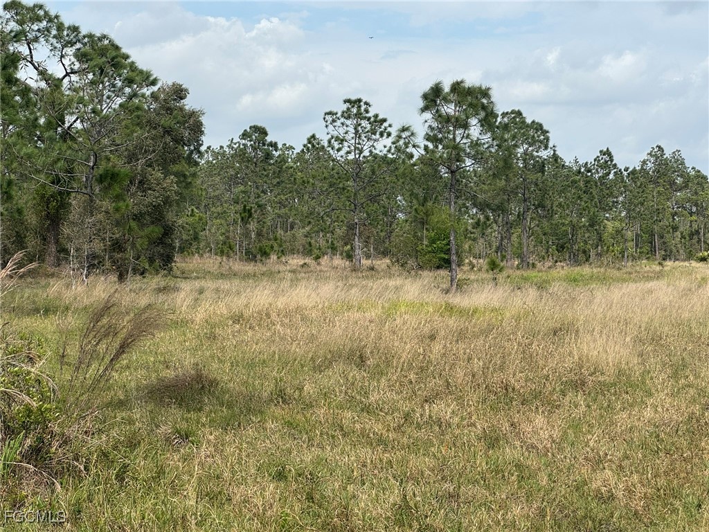 46930 Bermont Road Punta Gorda FL 33982 2025020958 image8