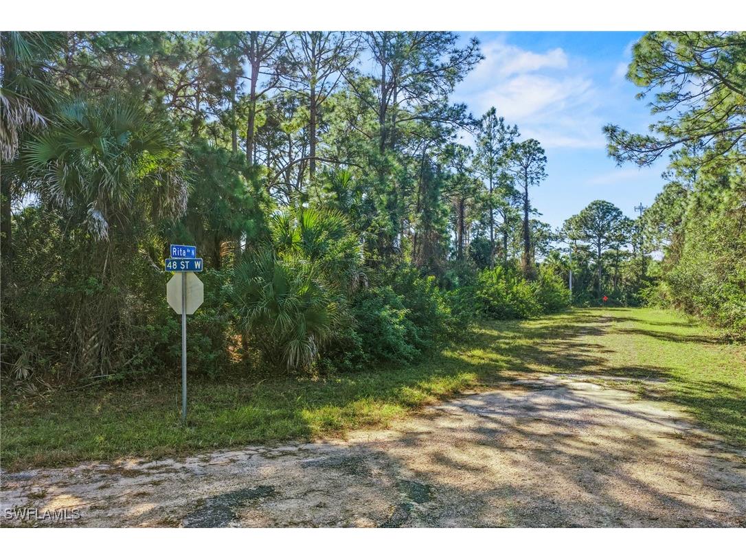 4702 Rita Avenue N Lehigh Acres FL 33971 226003680 image1
