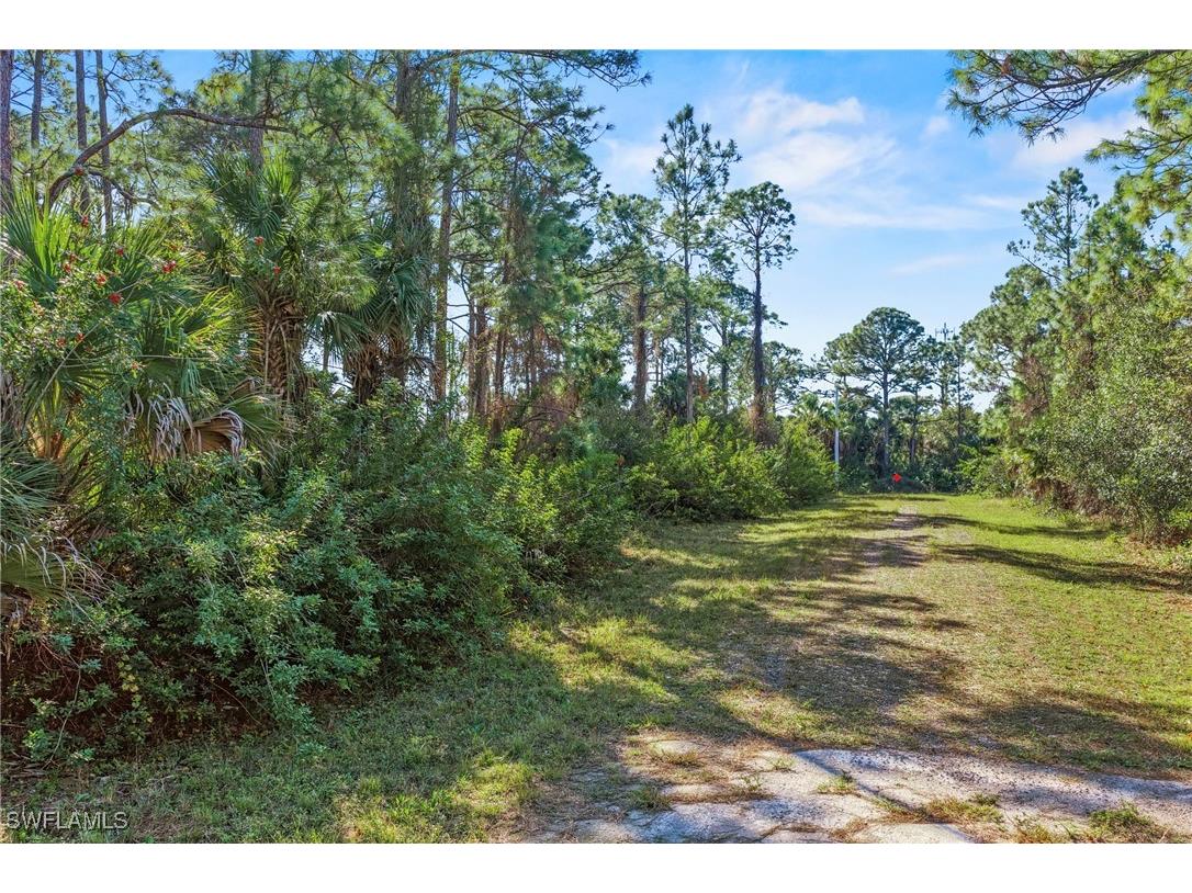 4702 Rita Avenue N Lehigh Acres FL 33971 226003680 image12
