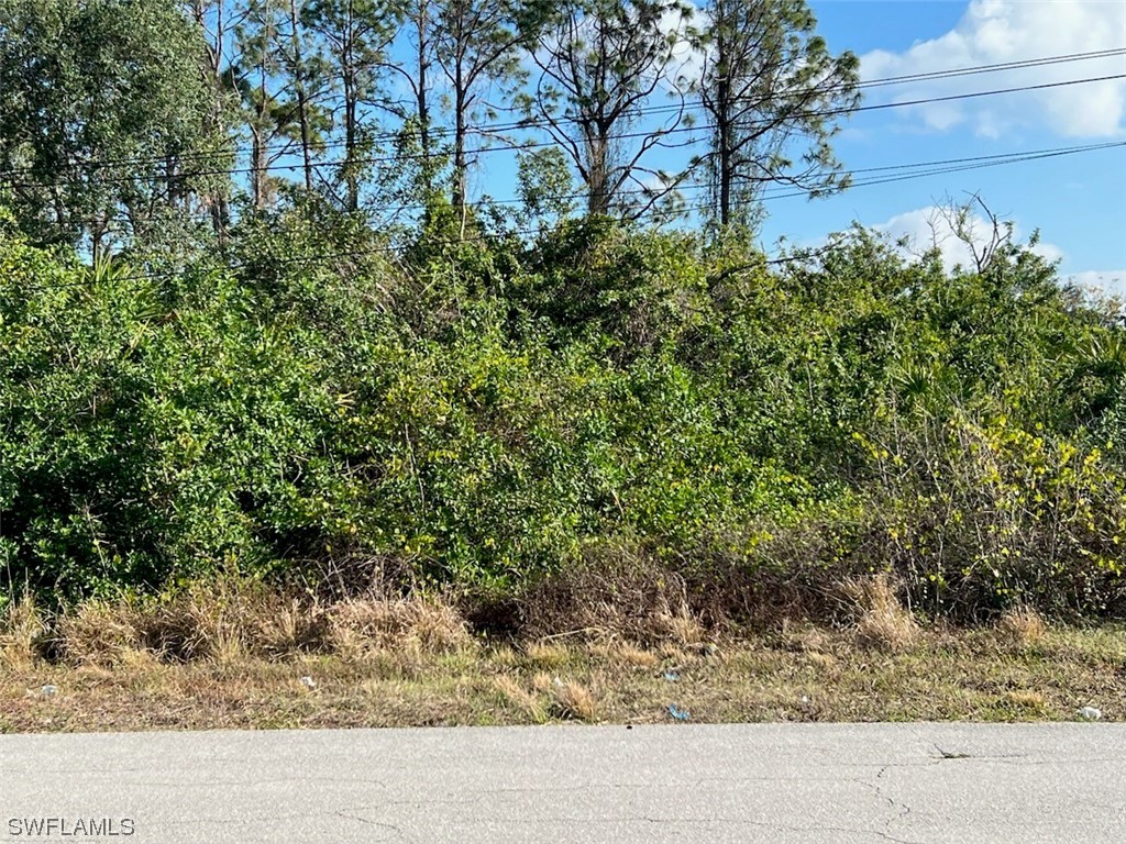 4704-4706 21st Street SW Lehigh Acres FL 33973 223020620 image1