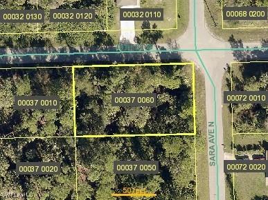 4705 Sara Avenue N Lehigh Acres FL 33971 225040915 image1