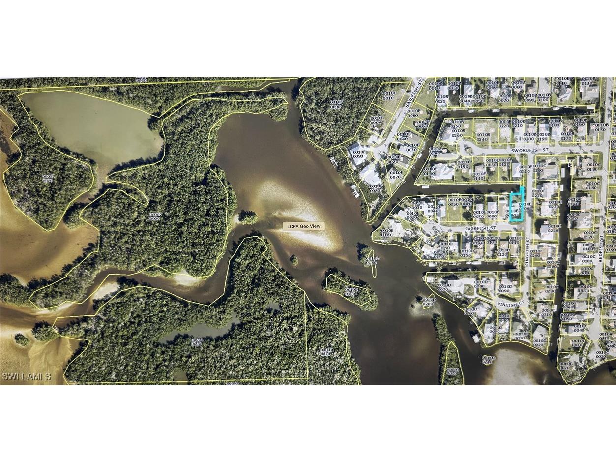 4728 Jackfish Street Bonita Springs FL 34134 225077103 image39