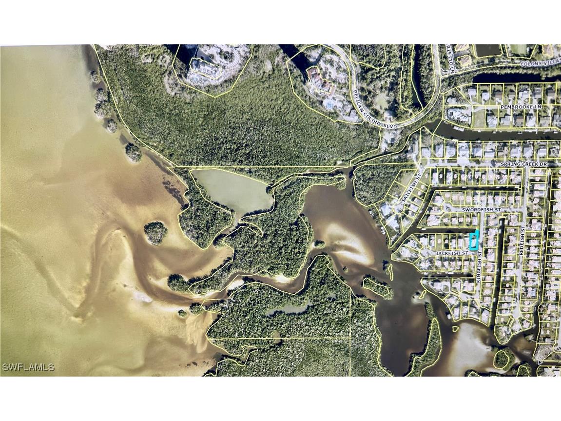 4728 Jackfish Street Bonita Springs FL 34134 225077103 image42