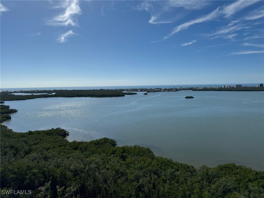 4731 Bonita Bay Boulevard #1704 Bonita Springs FL 34134 225079838 image31