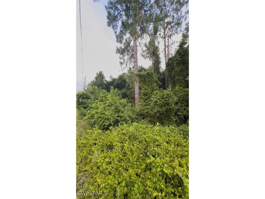 4737 29th Street SW Lehigh Acres FL 33973 225074261 image1