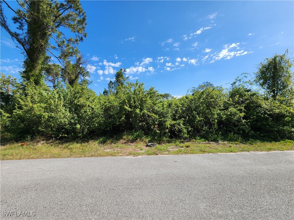 4738 26th Street SW Lehigh Acres FL 33973 225032612 image1