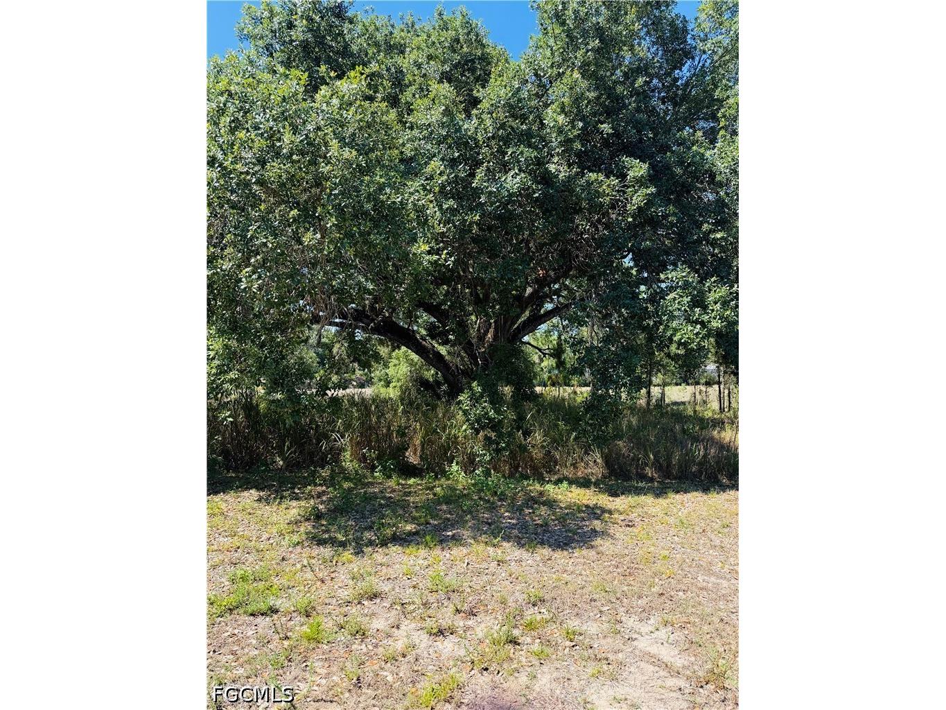 4743 14th Street SW Lehigh Acres FL 33973 2026023015 image6