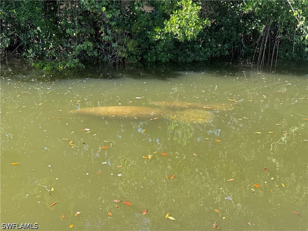 4754 Spring Creek Drive Bonita Springs FL 34134 226012825 image21