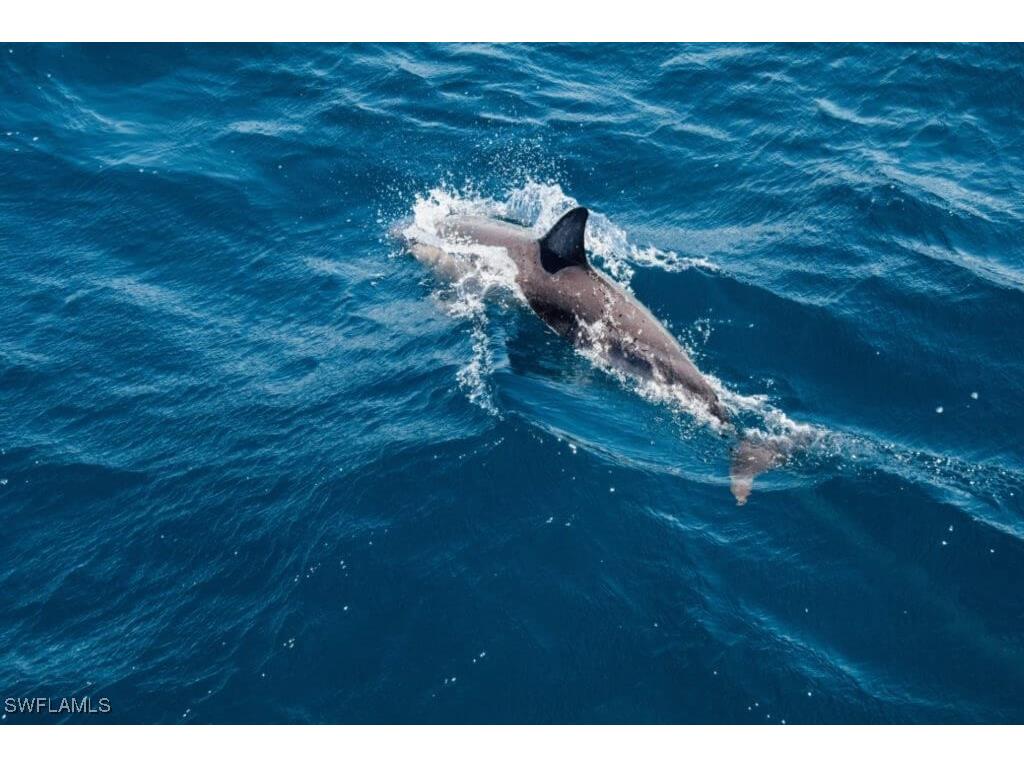 4765 Estero Boulevard Fort Myers Beach FL 33931 224032602 image3