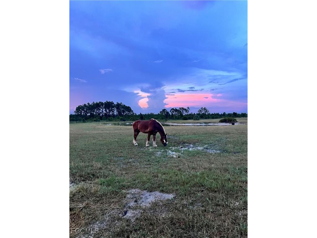 47798 Bermont Road Punta Gorda FL 33982 2025022594 image4