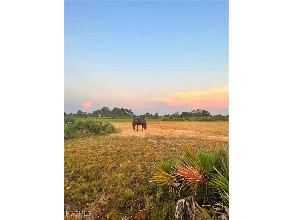 47798 Bermont Road Punta Gorda FL 33982 2025022594 image8