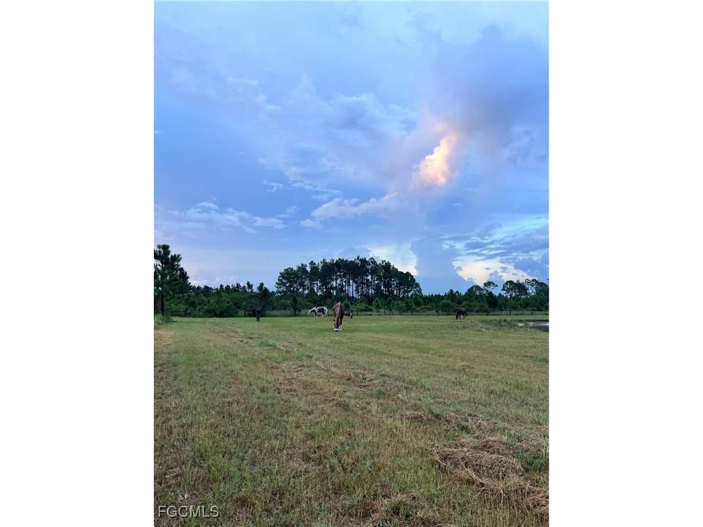47798 Bermont Road Punta Gorda FL 33982 2025022594 image9