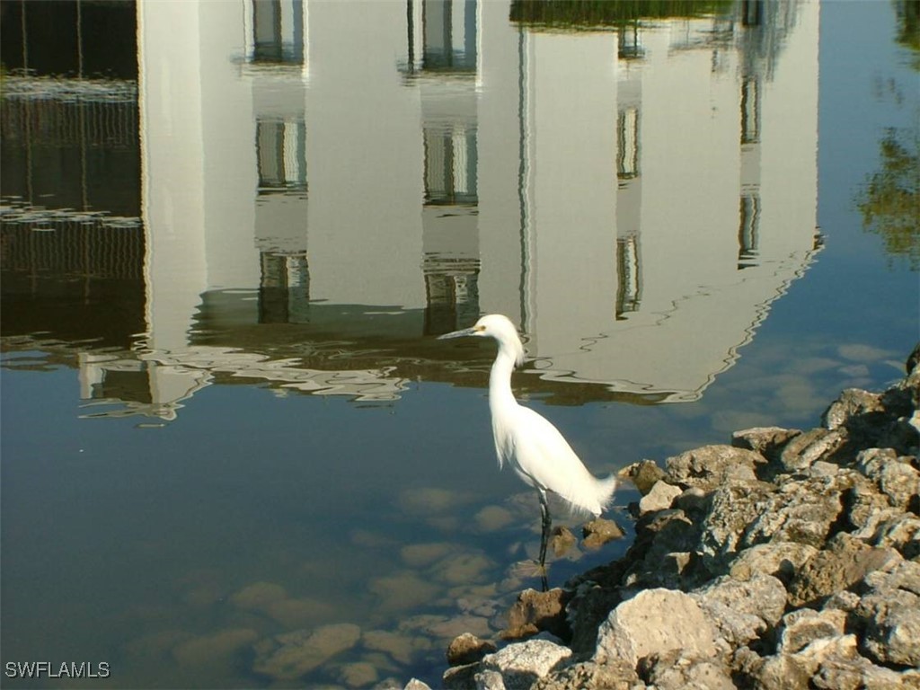 4781 Lakeside Club Boulevard #3-C1 Fort Myers FL 33905 225019664 image24