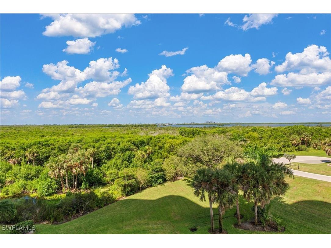 4801 Island Pond Court #405 Bonita Springs FL 34134 225071363 image34